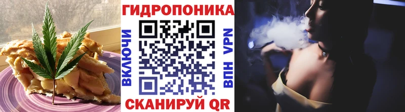 Купить где Мезень Canna-Cookies конопля