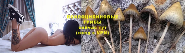 герыч Волосово