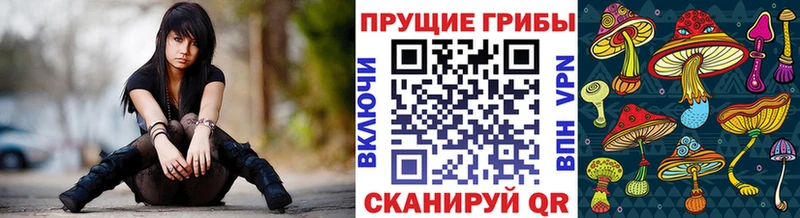 Купить  Мезень  Галлюциногенные грибы прущие грибы 